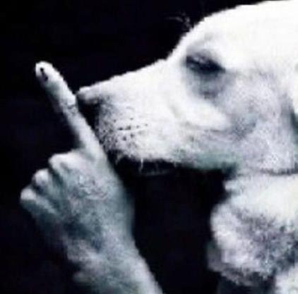 Como respuesta a todo