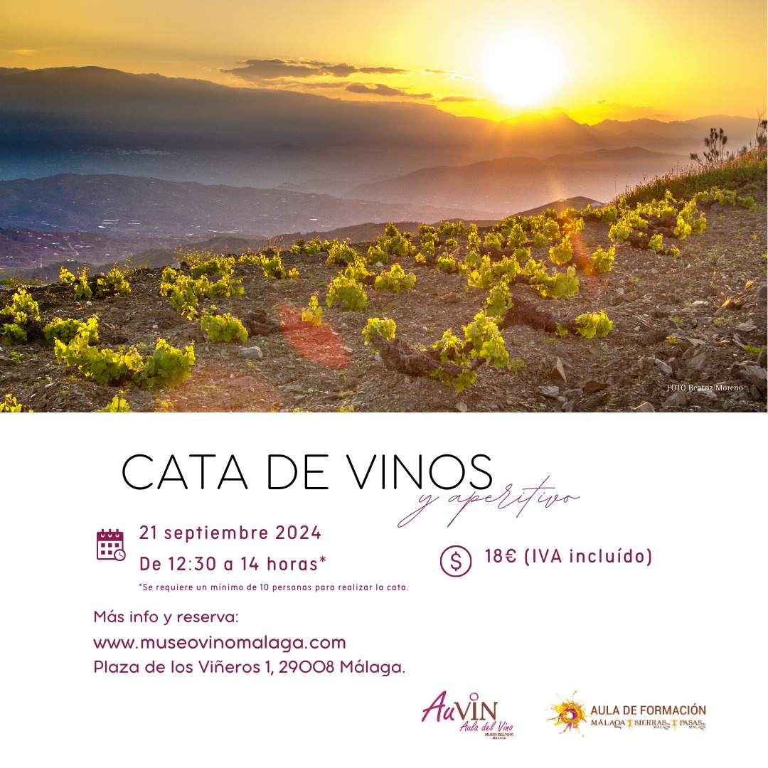 Ignacio (@ignaciodimobe) on Twitter photo 