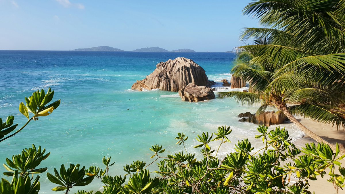 Ab ins Inselparadies!! 🤩🏝️ Hin- und Rückflug Frankfurt - Seychellen vom 20.09 - 28.09 ab 432€: flug.idealo.de/ergebnis/tEWPi… ✈️🌍

#Frankfurt #Mahe #Condor #Seychellen #IndischerOzean #Fernreise #Urlaub #Billig #Angebot #Schnäppchen #Deals  #Fernweh #Lastminute #reisenmachtglücklich