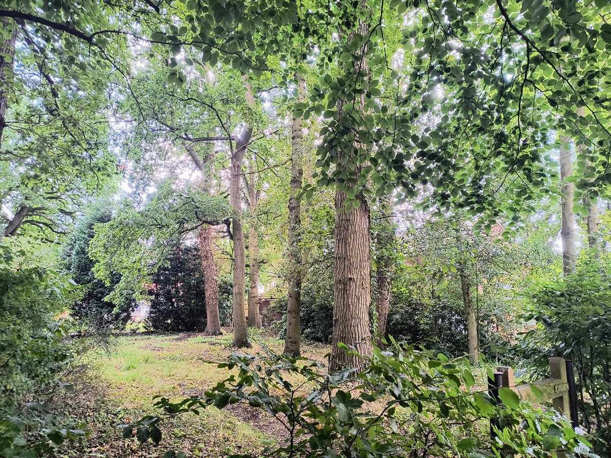 Becca Grice tweet media