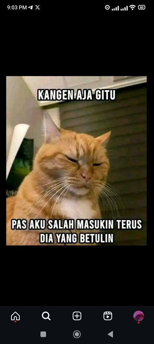 wetbbgurl's tweet photo. kangen benerin kntl kmu pas slh msk https://t.co/BROyyueO2g