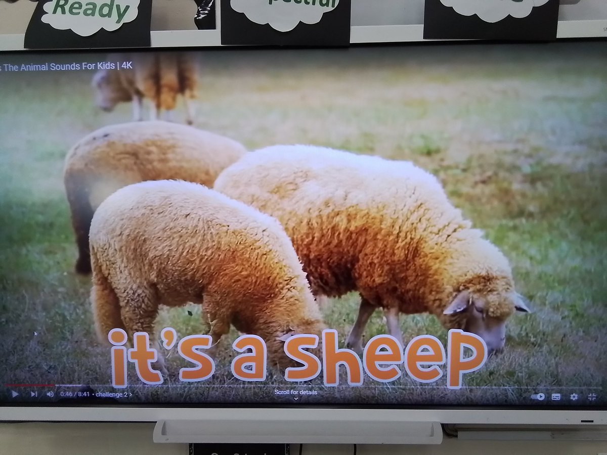 Class 1W - Mrs Wilson tweet media