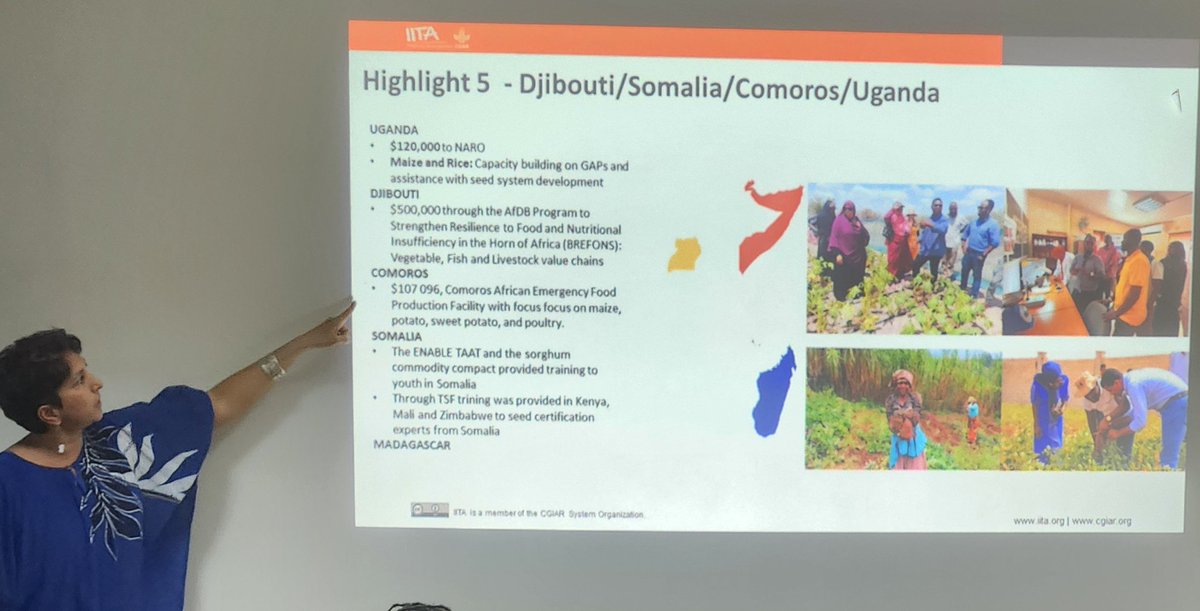 The Technologies for African Agricultural Transformation (TAAT) is an IITA-led initiative that has been moving technologies from shelves to users across Africa since 2018