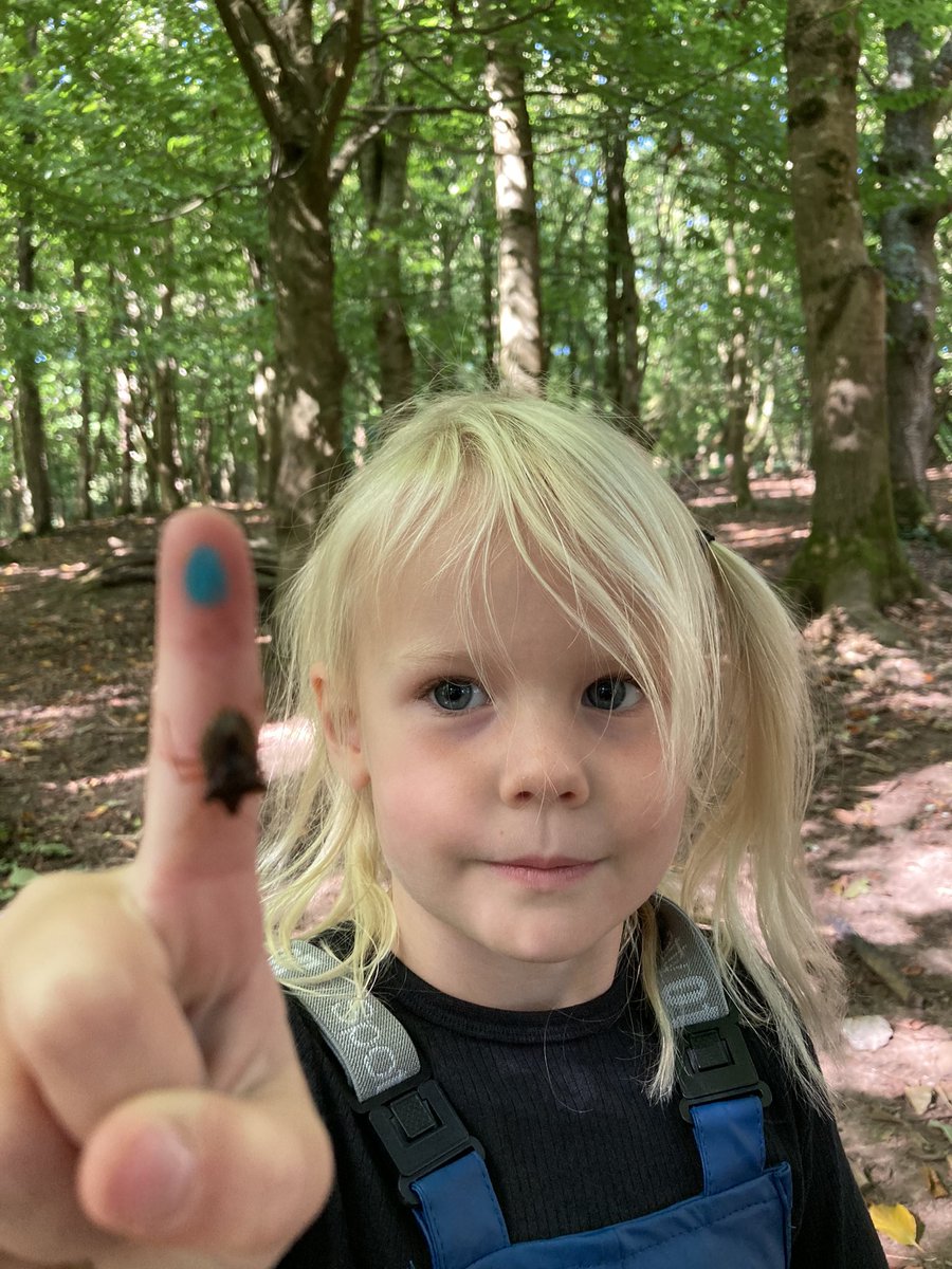 PipersForestSch's tweet photo. Spot the friendly shield bug! 🌿🪳🪲#bughunt #forestlearning #piperspreprep #eyfs https://t.co/u0bRkT1Vxs