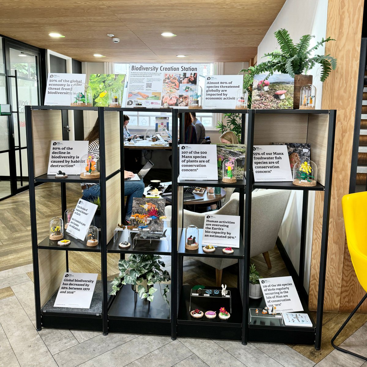 Ali Hodgson (@cartooningmonk) on Twitter photo 🎉 My end-of-residency exhibition is up! For ONE week only at the Santander Work Cafe (Douglas) in collaboration with <a href="/manxnature/">Manx Wildlife Trust</a> and UNESCO Biosphere IOM and supported by @IOMArtsCouncil - come say hello! 🎉 My end-of-residency exhibition is up! For ONE week only at the Santander Work Cafe (Douglas) in collaboration with <a href="/manxnature/">Manx Wildlife Trust</a> and UNESCO Biosphere IOM and supported by @IOMArtsCouncil - come say hello!
