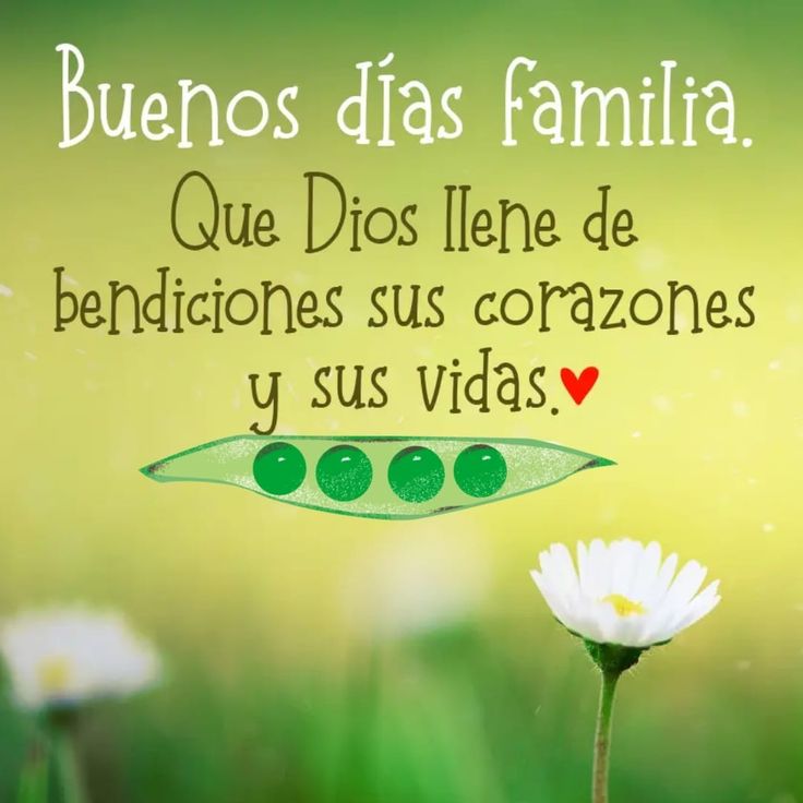 Buenos días 🌅 a toda la familia Venezolana que cada día supera los acontecimientos adversos y consolida la PAZ 🕊️y la solidaridad.<a href="/AlexanderNebre2/">Alexander Nebreda</a> <a href="/aleman72psuv/">Juan Carlos Alemán             Cuenta Oficial</a> <a href="/amarcanopsuv/">Ángel Marcano</a> <a href="/CaracasLoteria/">Lotería de Caracas</a> <a href="/cbolivariana/">Central Bolivariana CBST</a> <a href="/ElFenomeno_13/">@Guary_75</a> <a href="/gestionperfecta/">Carmen Meléndez</a> <a href="/jorgerpsuv/">Jorge Rodríguez</a> <a href="/delcyrodriguezv/">Delcy Rodríguez</a>