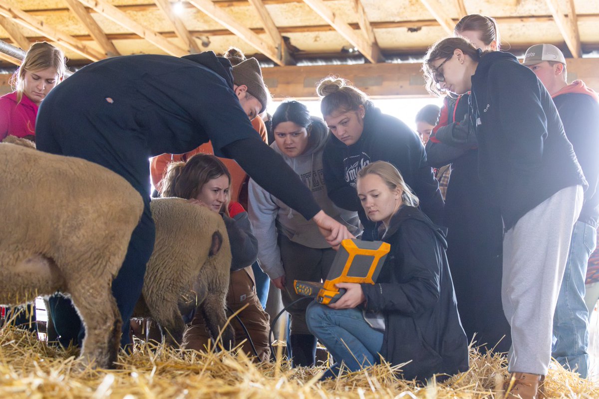 Your passion belongs here. Discover new opportunities in the Department of Animal Sciences at Ohio State. From internships to research and everything in between, find your fit here. Connect with us: ansci.osu.edu