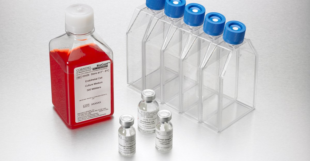 Corning® BioCoat® vessel and microplate formats help optimize conditions for attachment, growth, or differentiation for your cell type.

Contact your lab manager to see if BioCoat cultureware is right for your lab: ms.spr.ly/6018mTGLO