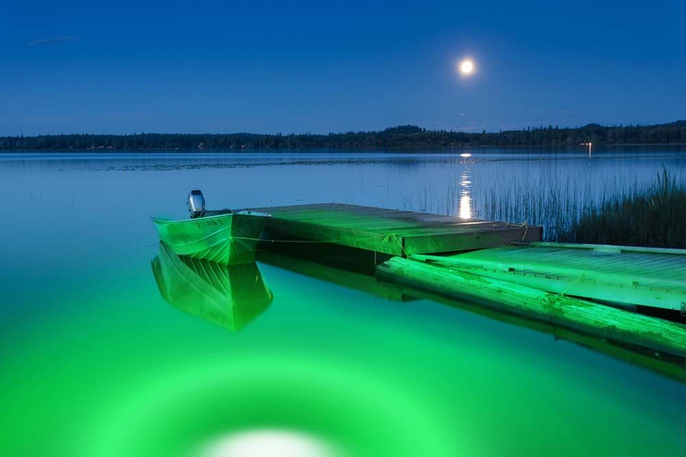 IULLighting's tweet image. Transform your dock with our energy-efficient, bright underwater LED lights! Illuminate your surroundings and enjoy clearer views. 

#UnderwaterLEDLights #DockLighting #EnergyEfficientLED 

buff.ly/3IWbYXy