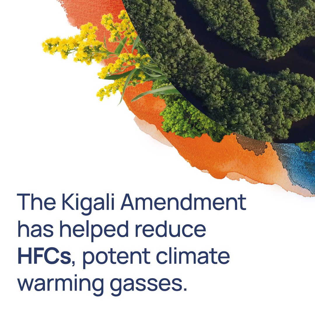 _UNChronicle's tweet image. #WorldOzoneDay celebrates the 1987 #MontrealProtocol and calls for full ratification of the #KigaliAmendment.

Go back to the beginning with this piece by Jonathan Shanklin, who co-discovered the Antarctic ozone hole in 1985 as a member of @BAS_News:

🇦🇶 un.org/en/chronicle/a…