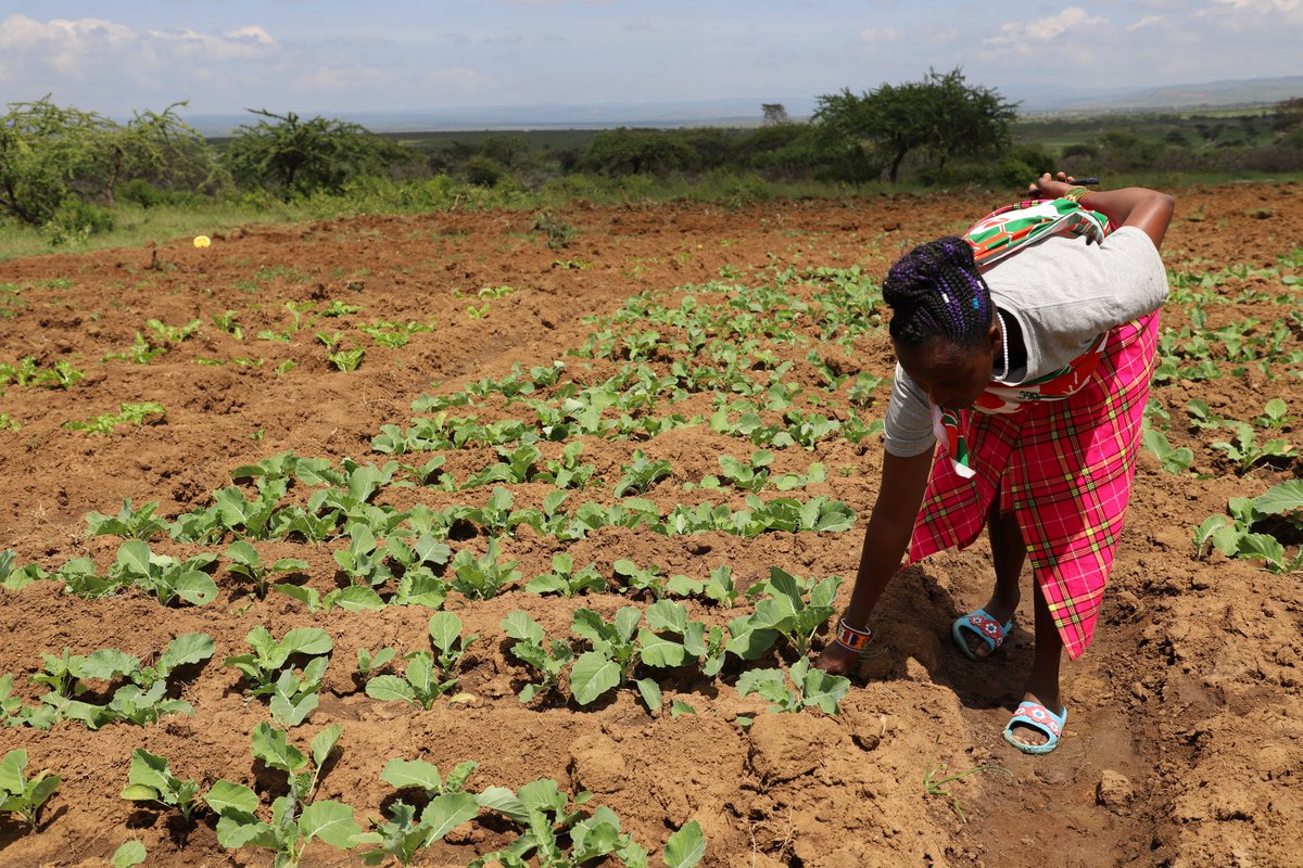 42 water schemes rehabilitated; 140,112 people reached.💦#Sustainable access to #water means that more  people living in northern Kenya, primarily livestock keepers, can engage in farming, increasing access to #nutritious vegetables from their gardens.