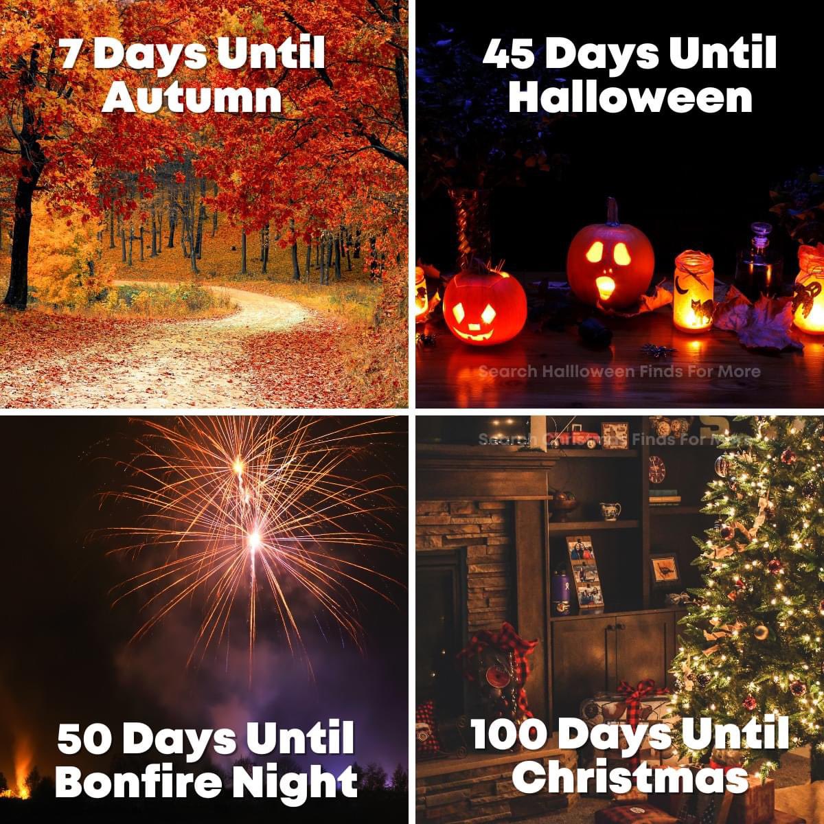 Chelle 🍒 (@chellegarth) on Twitter photo 