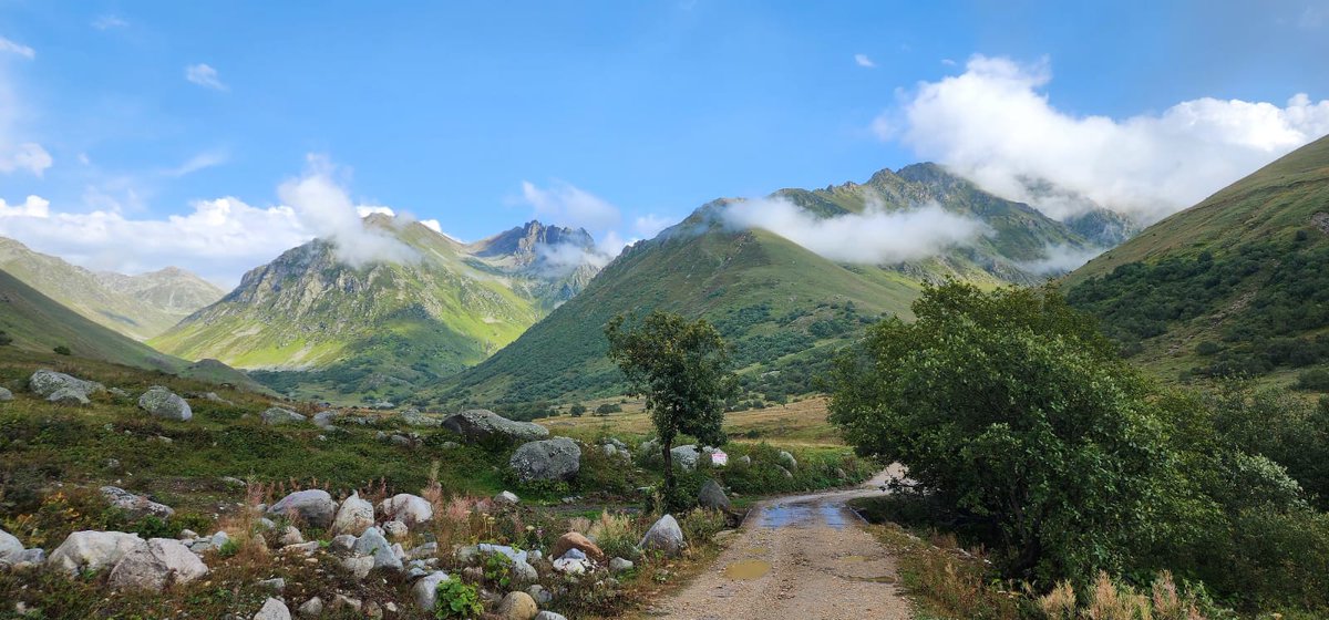 NejatBeyazp's tweet photo. @zafersahin06 rize.cimil yaylası https://t.co/GGAWgqF9Kl