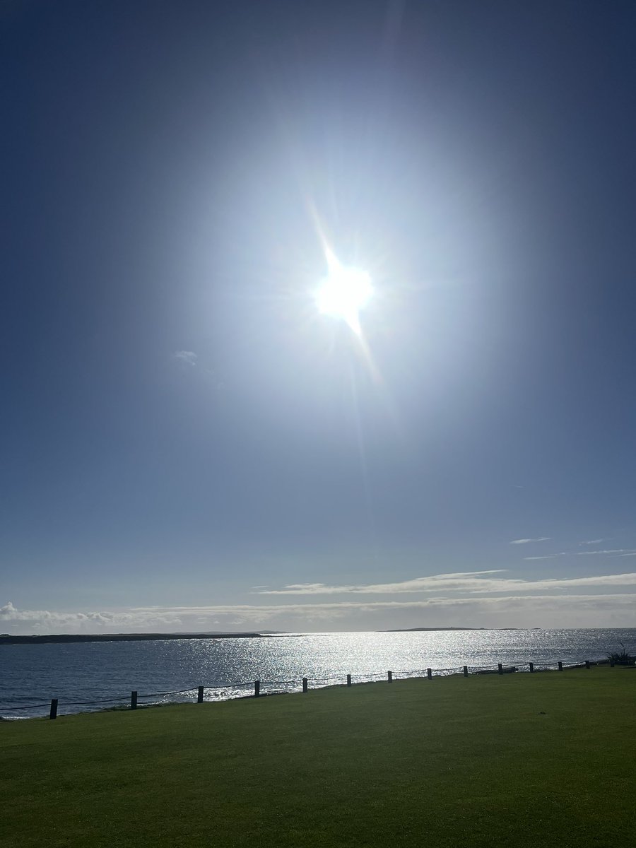 Kate Warde, PhD tweet media