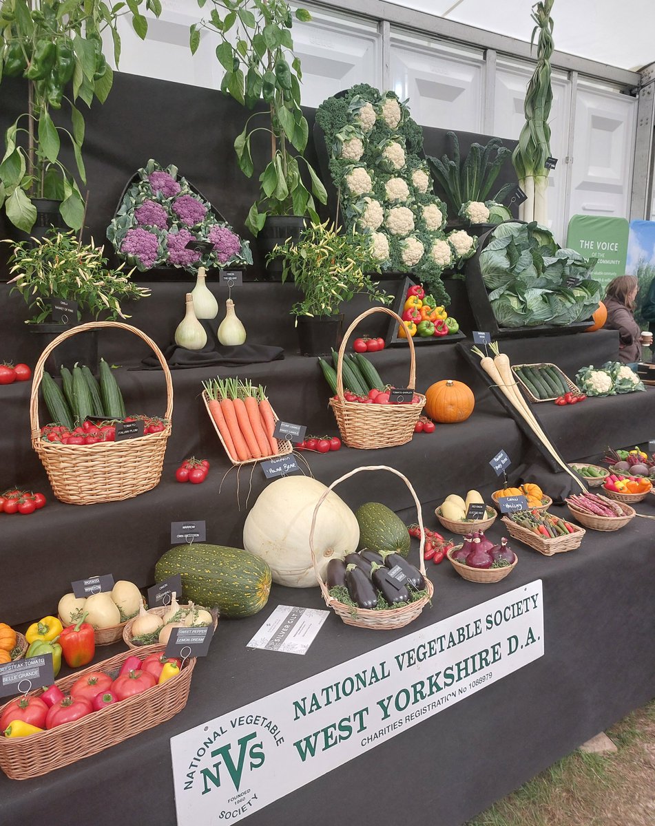 MercuryCards's tweet image. So much to see at Harrogate Flower Show 🌼 Thanks #FOBS #Yorkshire #gardening #dahliaflowers #Vegetables #Rose @GdnsIllustrated @FOBSheffield