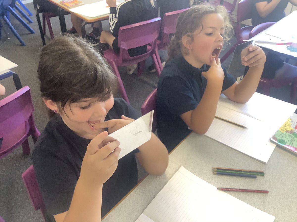 In Science, Squirrel class used mirrors to look at their teeth. We spoke about how you have 20 milk teeth and 32 permanent teeth. We also identified incisors, canines, premolars and molars in our mouths and thought about their purpose.