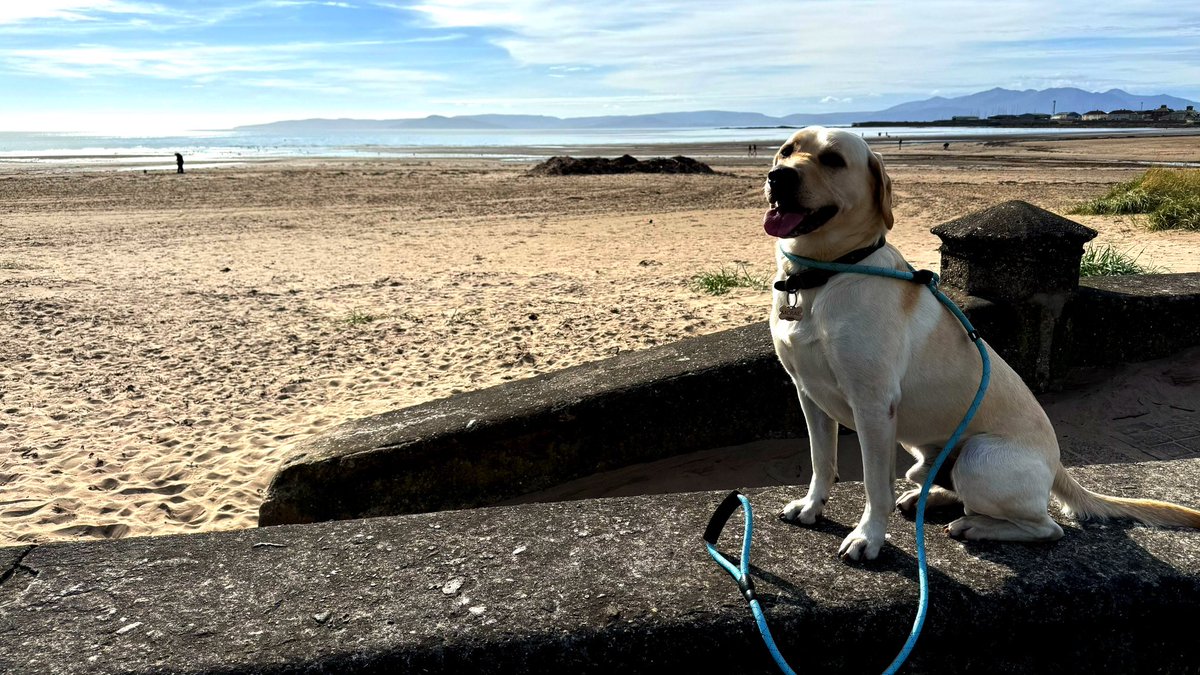 CGA_Kev's tweet photo. After a physically and mentally challenging run of weekend nightshifts, it’s great to be able to enjoy the sunshine down the beach this afternoon with my four-legged adventure buddy 🦮 #Team999 #RestDaysBestDays #Wellbeing https://t.co/qYMEb73shB
