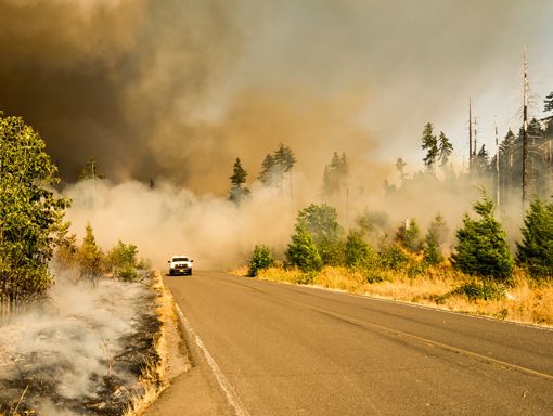 Planning for the unexpected is key to building resilient communities. As part of Emergency Preparedness Month, we encourage you to explore our specialized services and tools, which help clients navigate transportation-related challenges during disruptive events. 

Dive into the