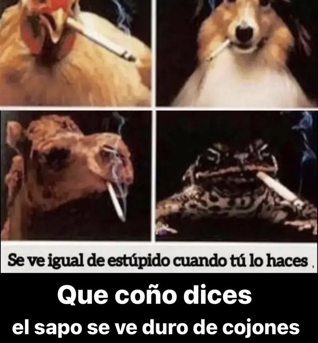 souul ​​❄️​​ (@frigosouul) on Twitter photo 