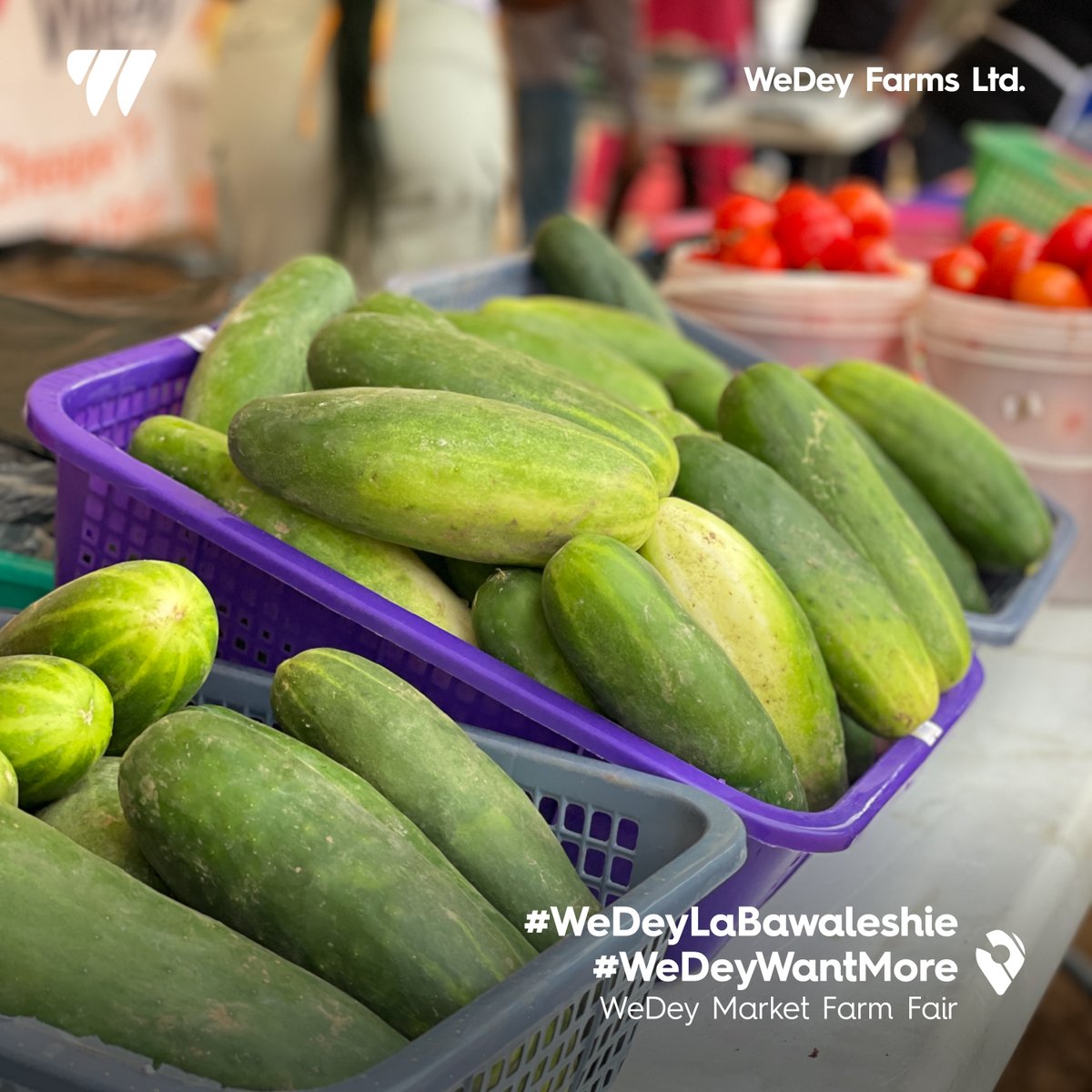 Wedeyfarms's tweet photo. Fresh food fam, we got you!
WeDey Market Farm Fair is where you get the freshest farm-to-table produce every Saturday!
Pull up at La-Bawaleshie School Park every Saturday from 6am-6pm and grab your fresh produce cheaper than the market prices!
 See you there!
#WeDeyFarmFair https://t.co/ugMRpWPWMF