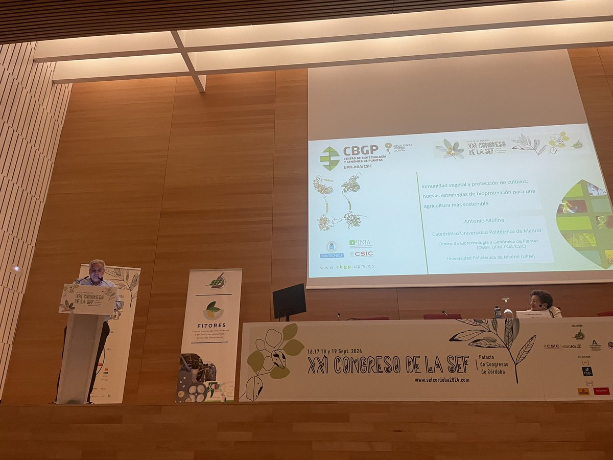 FITORES_SEF (@fitoressef) on Twitter photo El catedrático de <a href="/La_UPM/">Universidad Politécnica de Madrid</a> Antonio Molina nos habla de inmunidad vegetal y protección vegetal en el Wokkshop del Grupo FITORES en el congreso #sefcordoba2024 El catedrático de <a href="/La_UPM/">Universidad Politécnica de Madrid</a> Antonio Molina nos habla de inmunidad vegetal y protección vegetal en el Wokkshop del Grupo FITORES en el congreso #sefcordoba2024