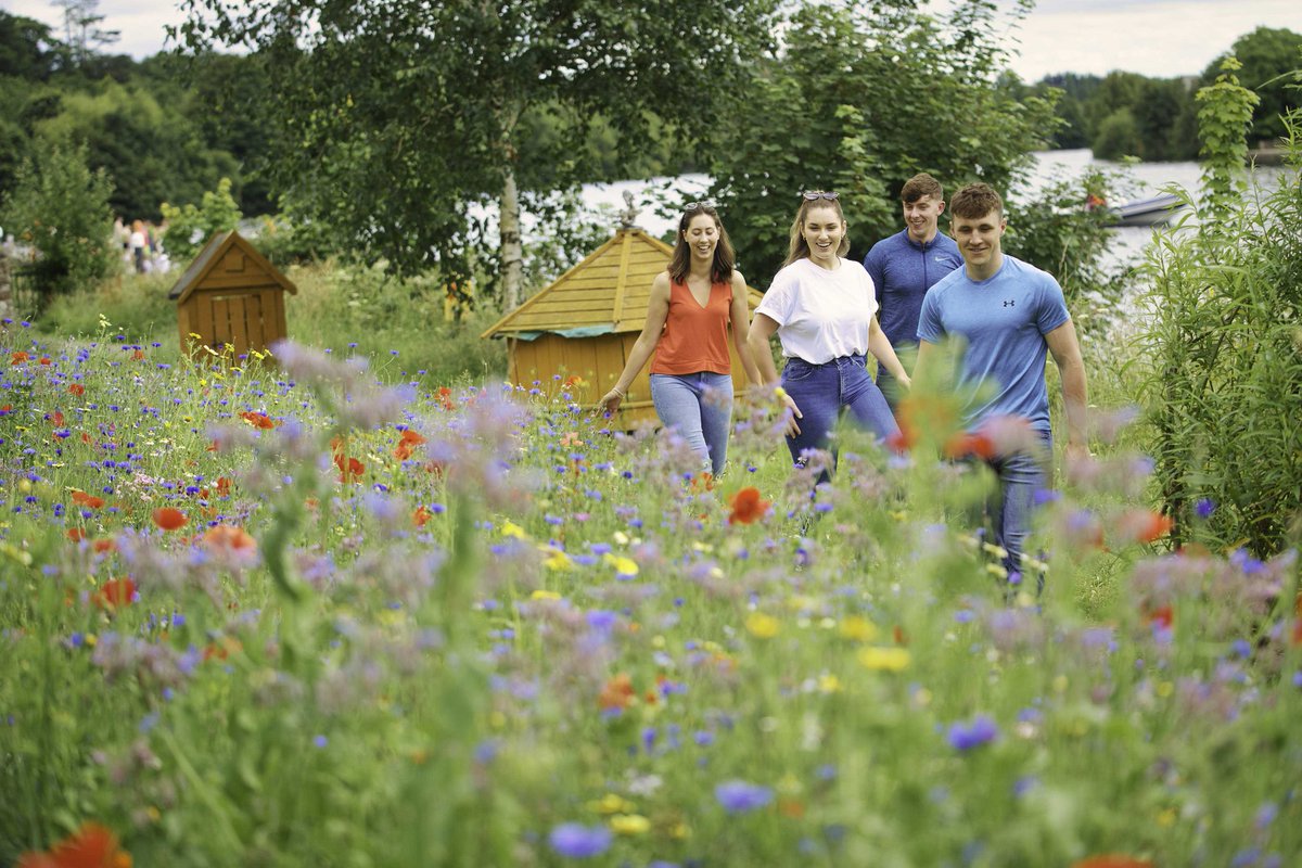 Temple Gate Hotel tweet media