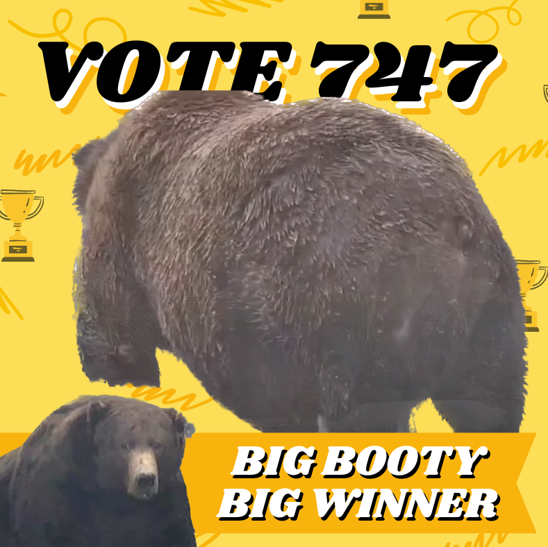 exploreorg's tweet photo. It's that time of year! We want to see your Fat Bear Week campaign poster art. Submissions now open at https://t.co/Kwe3S5P2Bz https://t.co/xLID1fjuTi