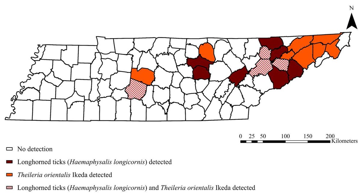 UT Entomology & Plant Pathology tweet media