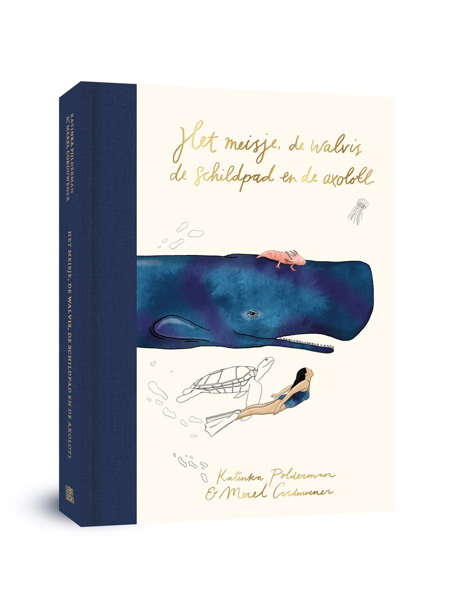 Beslisboss des vaderlands tweet media