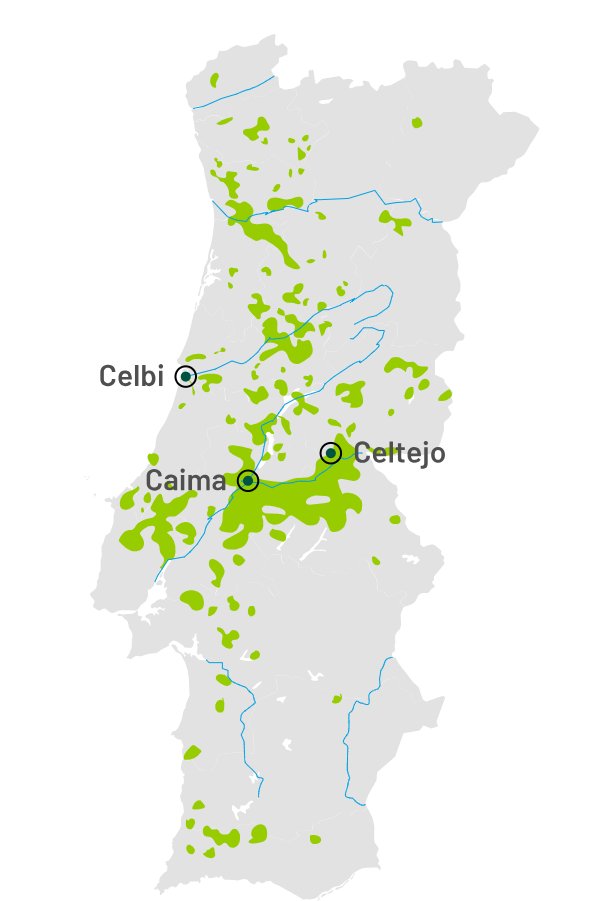 Os principais eucaliptais da Altri localizam-se em:
- Minho Litoral (Valença, Monção, Ponte de Lima e Arcos de Valdevez, Amarante e Felgueiras)
- Zonas de baixa altitude de Vila Real e Bragança
- Aveiro (Arouca, Castelo de Paiva, Estarreja)
(mapa de 2015, desatualizado)