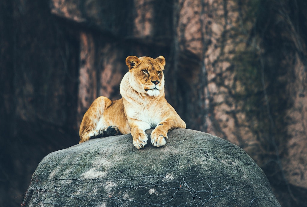 JDuncAdvisor's tweet image. Have you ever considered the similarities between pride and humility?

#MondayMotivation #PrideAndHumility #MindfulLiving #StayHumble

f5fp.com/monday-morning…