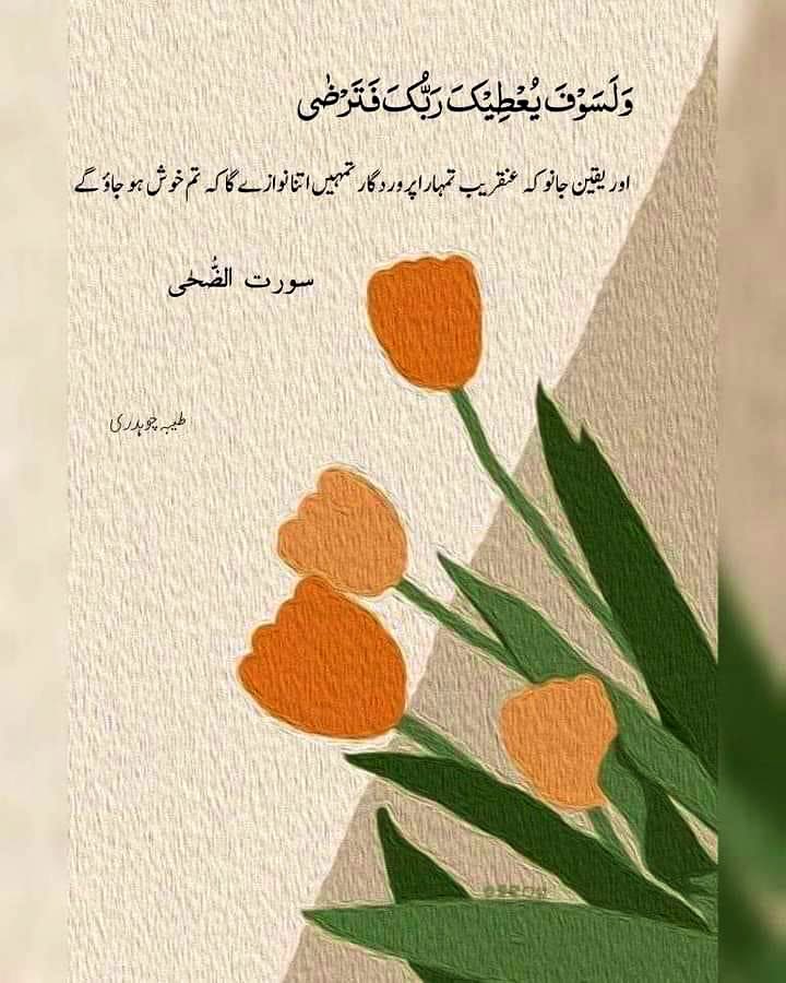 #sundayvibes 
Peace Of Patience