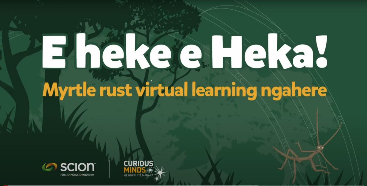 scion_research's tweet image. #ICYMI The @byondMyrtleRust webinar on Weds showcases E heke e Heka! the #myrtlerust learning app Scion launched in June. With #TeWikioTeReoMāori on, it&apos;s the perfect time to learn more about this exciting mahi.
#Register to watch live or get a recording tinyurl.com/4tye77sf