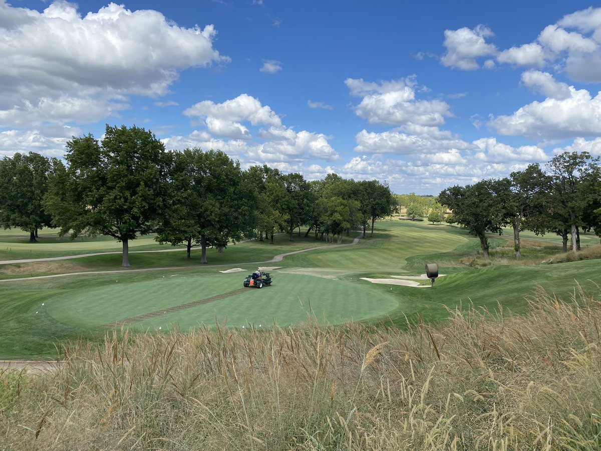 Bill Irving tweet media