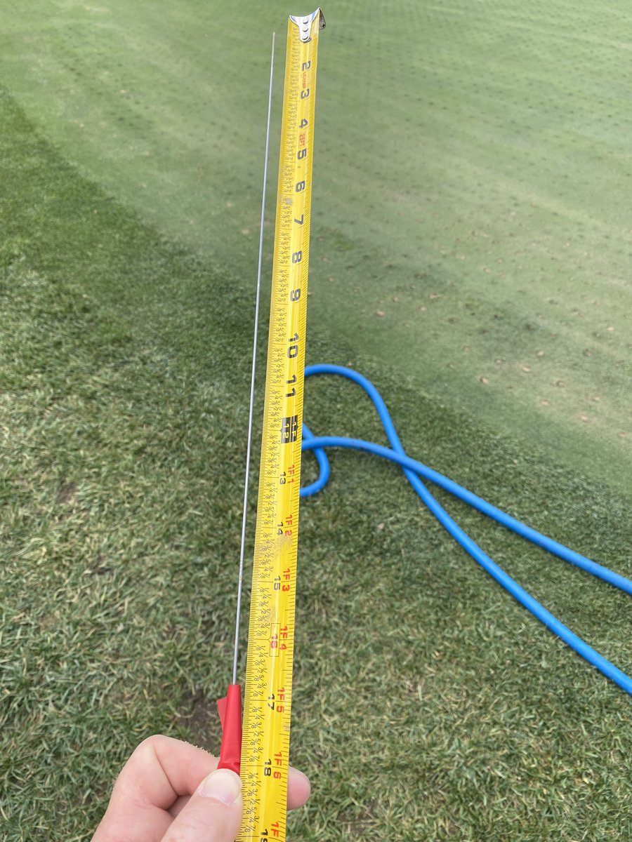 Bill Irving tweet media