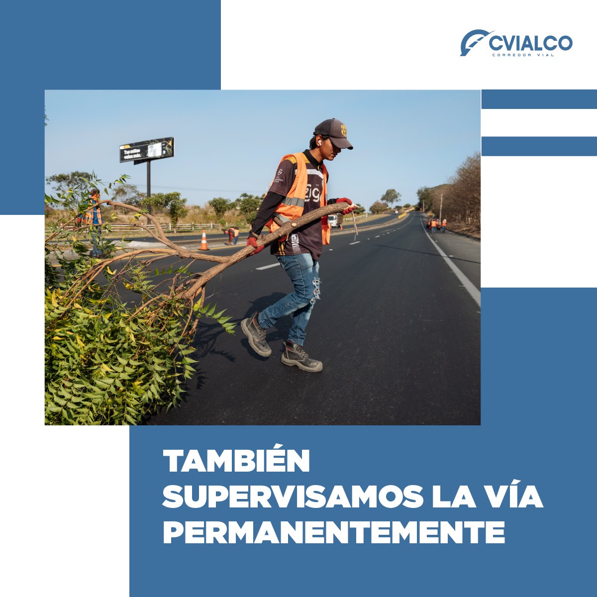 cvialco tweet media