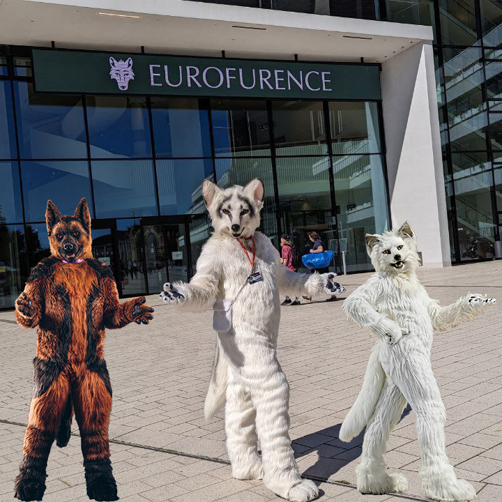 #WölfleOnTour at <a href="/eurofurence/">Eurofurence</a> 

🦊 28. #Eurofurence
🗓 17.-23.09.2024
🏨 #CCH
🏙 #Hamburg 🇩🇪

🐺 You found me as <a href="/berrexter/">Berrexter 🇩🇪🇳🇱 🔜 BFD 🇩🇪</a> , <a href="/Kitavos_DE/">Kitavos 🇩🇪 🔜 BFD 🇩🇪</a> or <a href="/witlupus/">Witlupus 🇳🇱 🇩🇪 🔜 BFD 🇩🇪</a>

#EF #EF2024 #EF28 #fursuit #Furry #Wolf #Fox #Shepherd

Follow my Berk-News (TG):
t.me/Berk_News

📸 = <a href="/skipp_wolf/">Skippwolf</a> ❤️