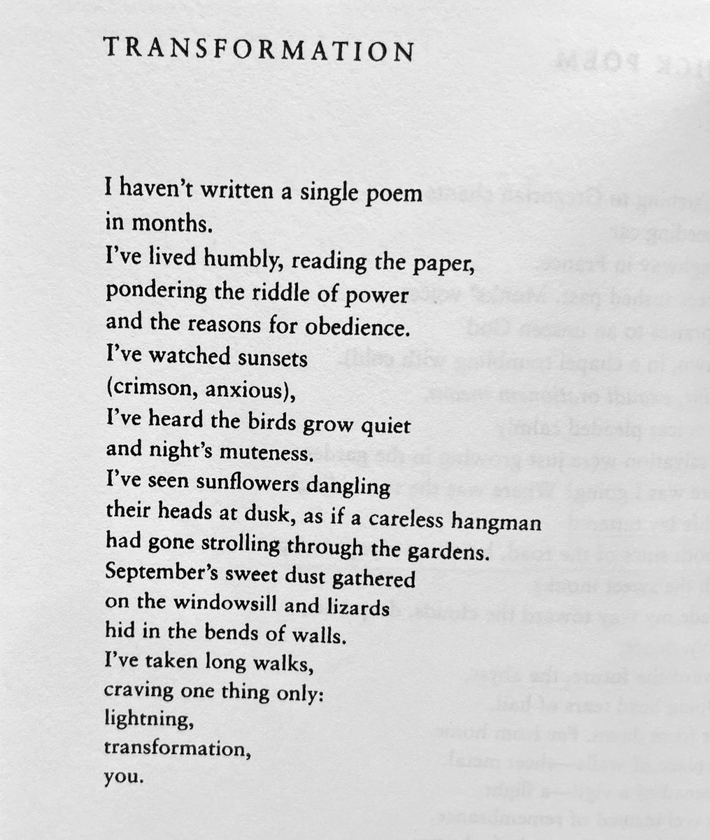 Maja Lukić tweet media