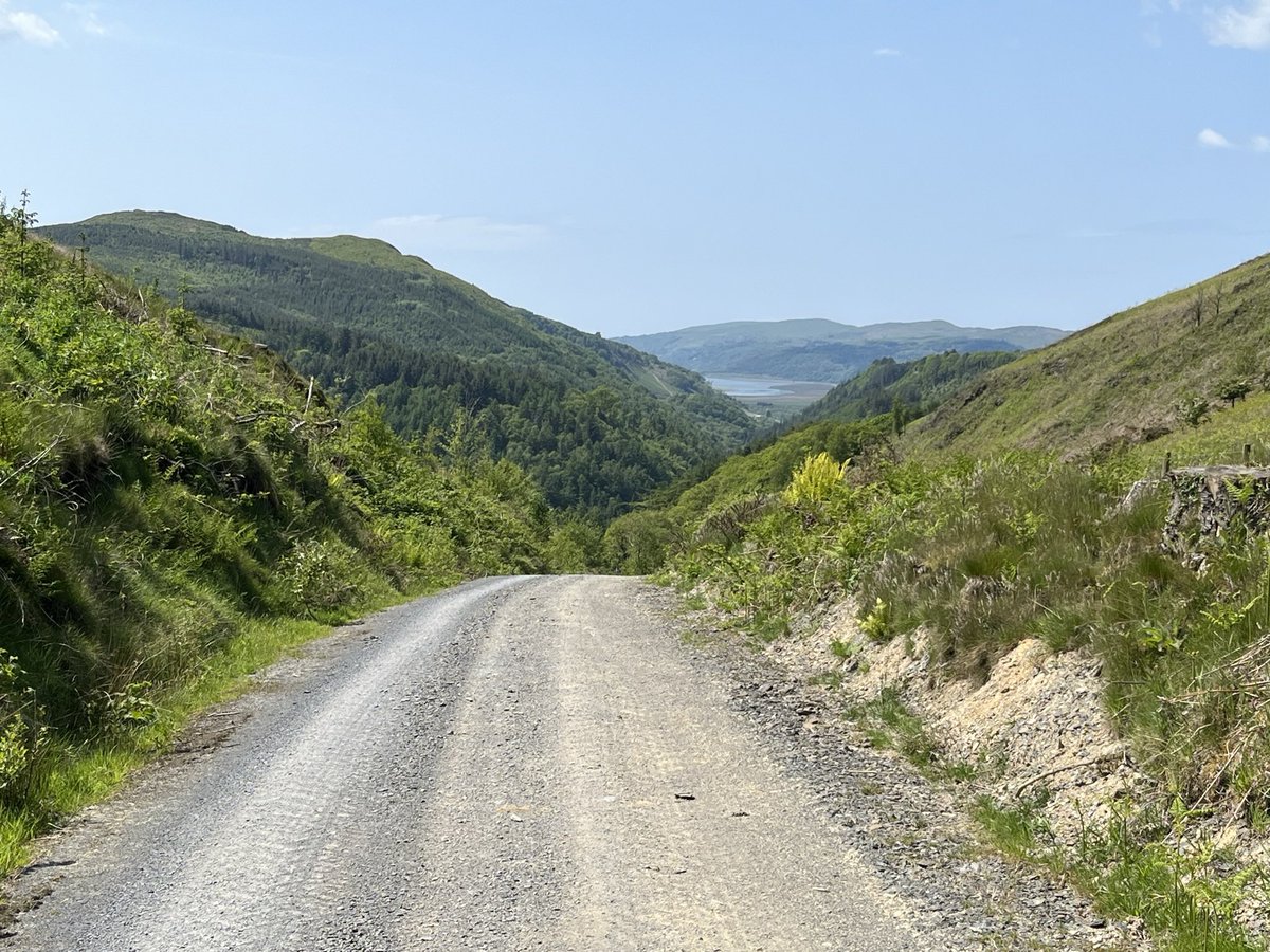 Andrew Gunby tweet media