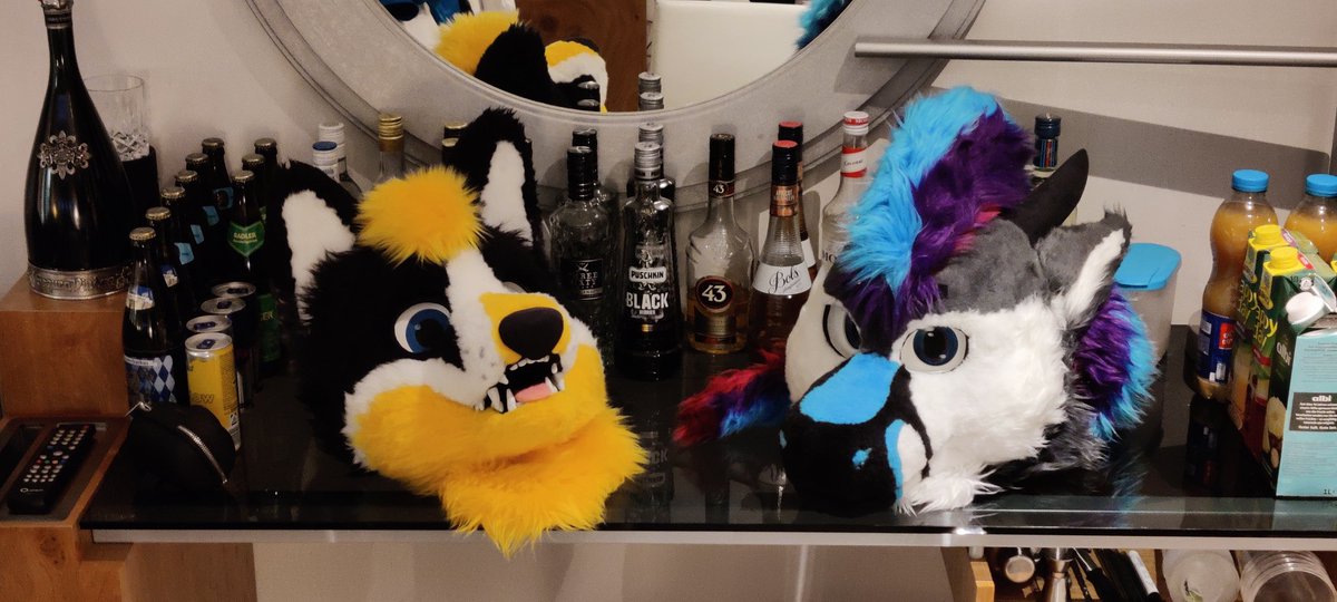 Niidrax (@niidrax) on Twitter photo It's been a while since i've tweeted but it's finally time for #Eurofurence with <a href="/CadianHusky/">Cadian the yellowblackwhite Husky</a>.
Say hello if you see me! It's been a while since i've tweeted but it's finally time for #Eurofurence with <a href="/CadianHusky/">Cadian the yellowblackwhite Husky</a>.
Say hello if you see me!