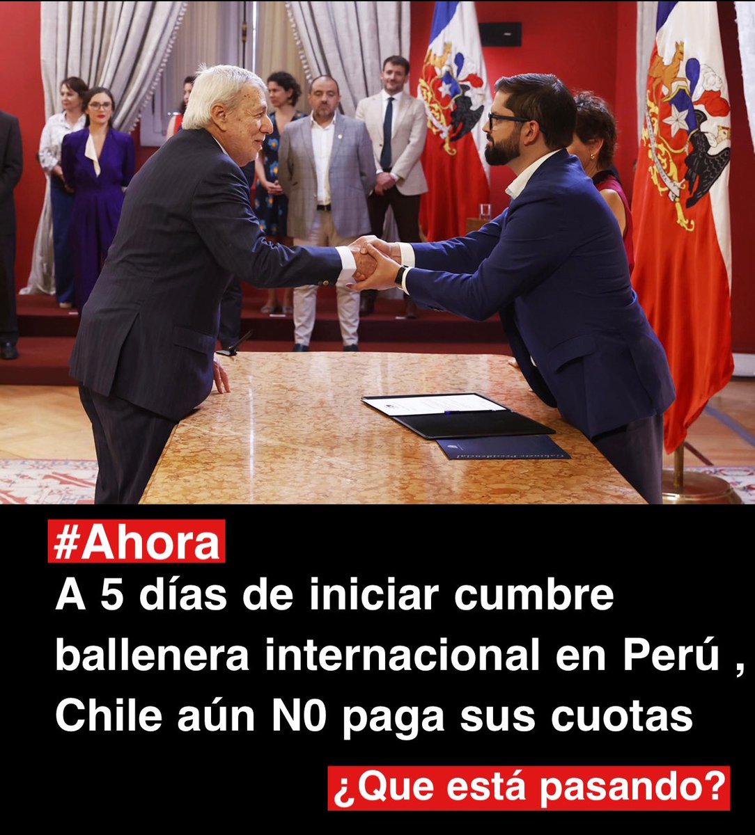 ❗️Defendamos Patagonia❗️ tweet media