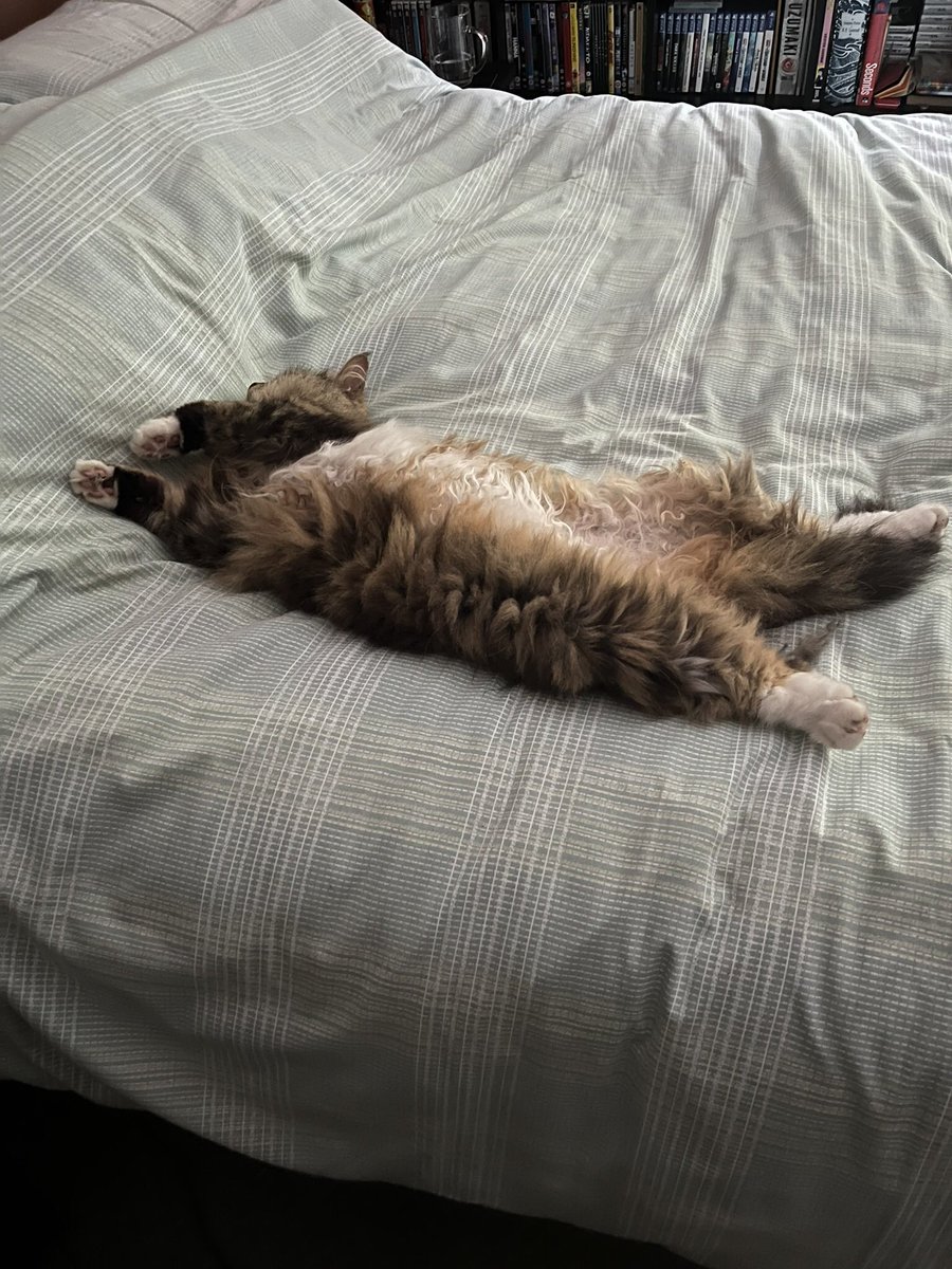 David Jessop tweet media