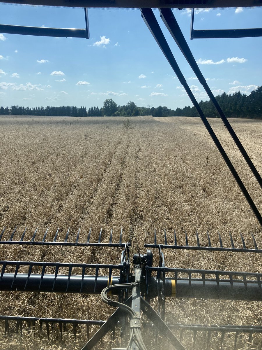 Brian Barker (@barkercustomag) on Twitter photo It’s started!! <a href="/PioneerSeedsCA/">Pioneer Seeds Canada</a> P07A10 soys coming off and headed to <a href="/MPGrains/">Mount Pleasant Grains Ltd</a> It’s started!! <a href="/PioneerSeedsCA/">Pioneer Seeds Canada</a> P07A10 soys coming off and headed to <a href="/MPGrains/">Mount Pleasant Grains Ltd</a>
