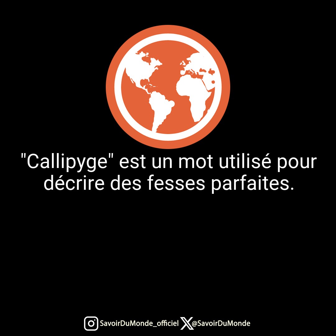 SavoirDuMonde's tweet photo. "Callipyge" est un mot utilisé pour décrire des fesses parfaites. https://t.co/QP0SE6qd8A