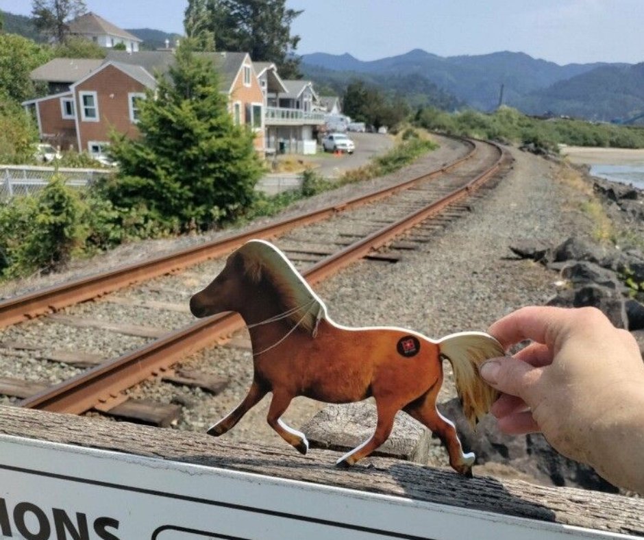 BBPrintSource's tweet image. This Sylvester is trading the horse track for the train tracks. Where has your Sylvester been? Tag us and use the hashtag #sylvesteradventures so we can see what your Sylvester has been up to 🐴
🐎 Need a horse? Ask our team 🐎

#portlandprinter #printhaslegs