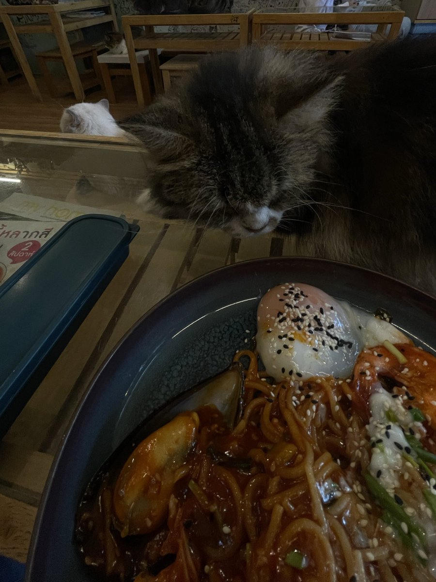 บล (@pd7fz) on Twitter photo 