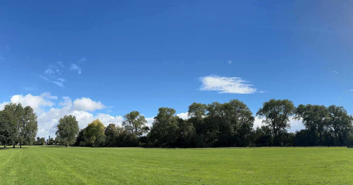 InsightUpNorth's tweet photo. The beautiful treeline between @Longford_Park &amp; @ryebankfields #manchester - planted by Enriqueta Ryelands over 100 years ago - looking lovely in the late summer sunshine 
#wellbeing #nature #therapy #outdoors #mindfulness #therapistsconnect #selfcare #mentalhealth #health https://t.co/NUlAS1AR8T
