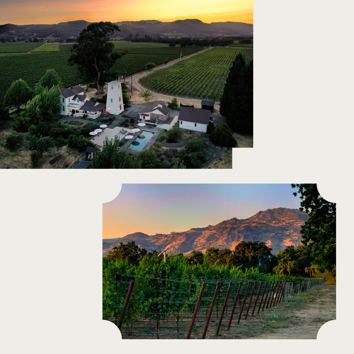 Golden Gate Sotheby's International Realty tweet media