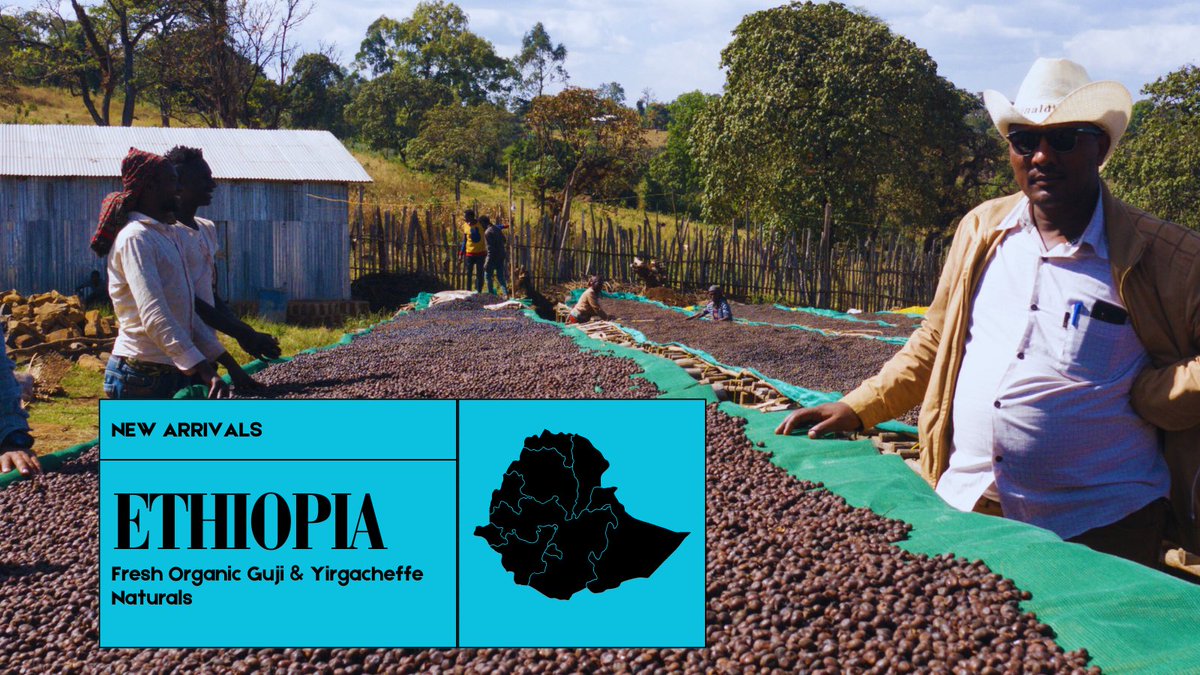 Genuine Origin Green Coffee tweet media