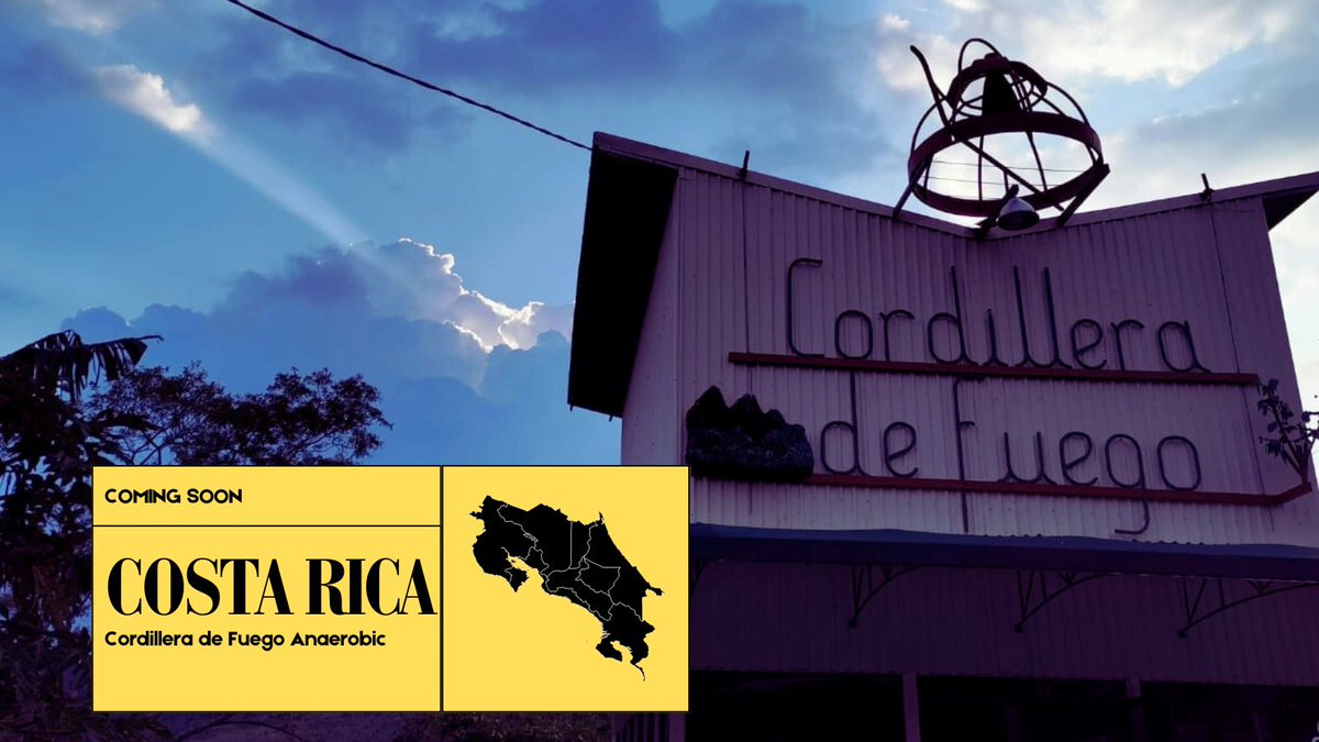 Genuine Origin Green Coffee tweet media